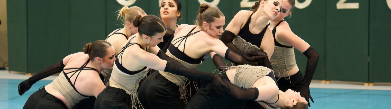 Formation Cavalletta